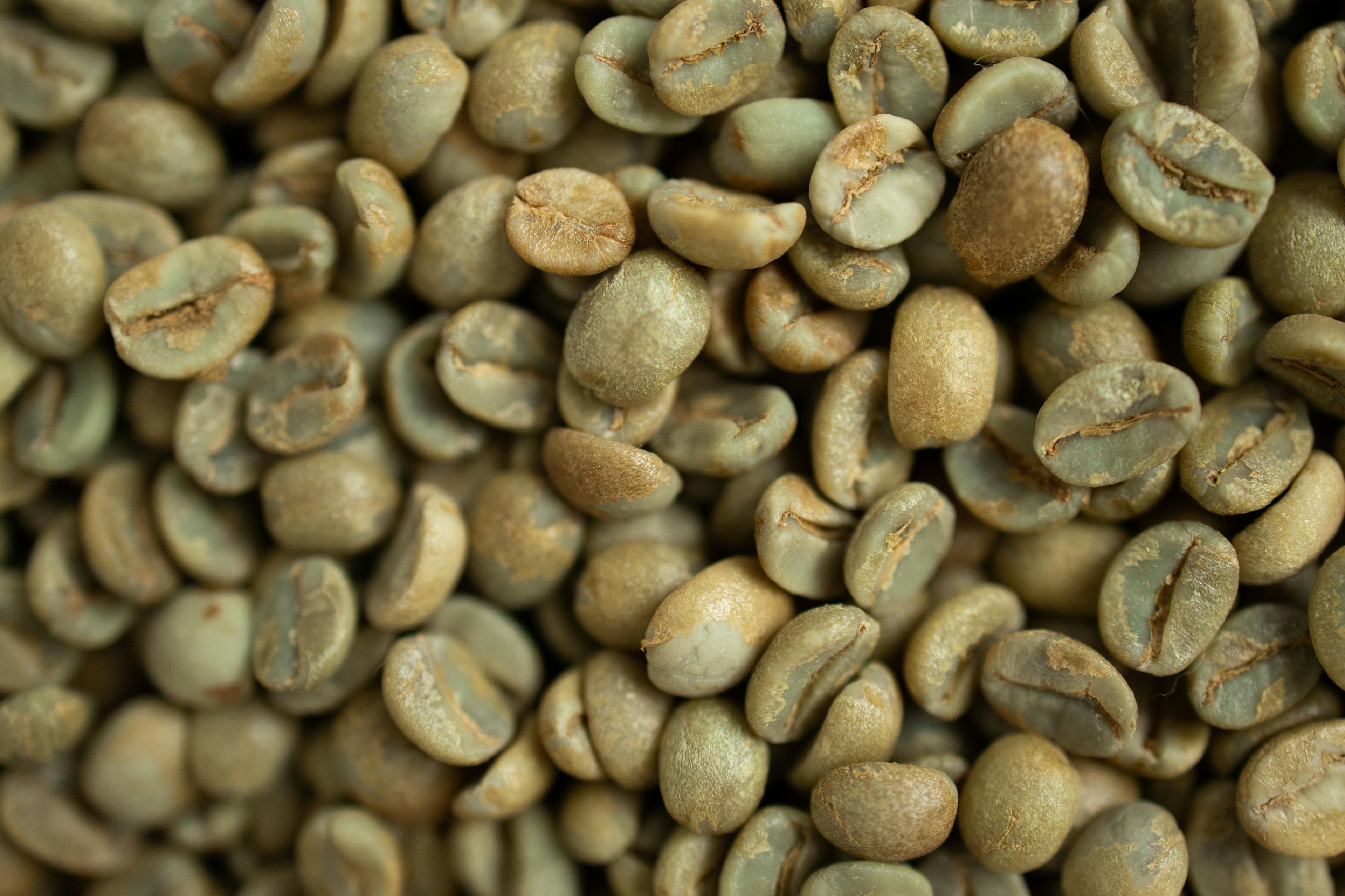 C coffee grade placeholder